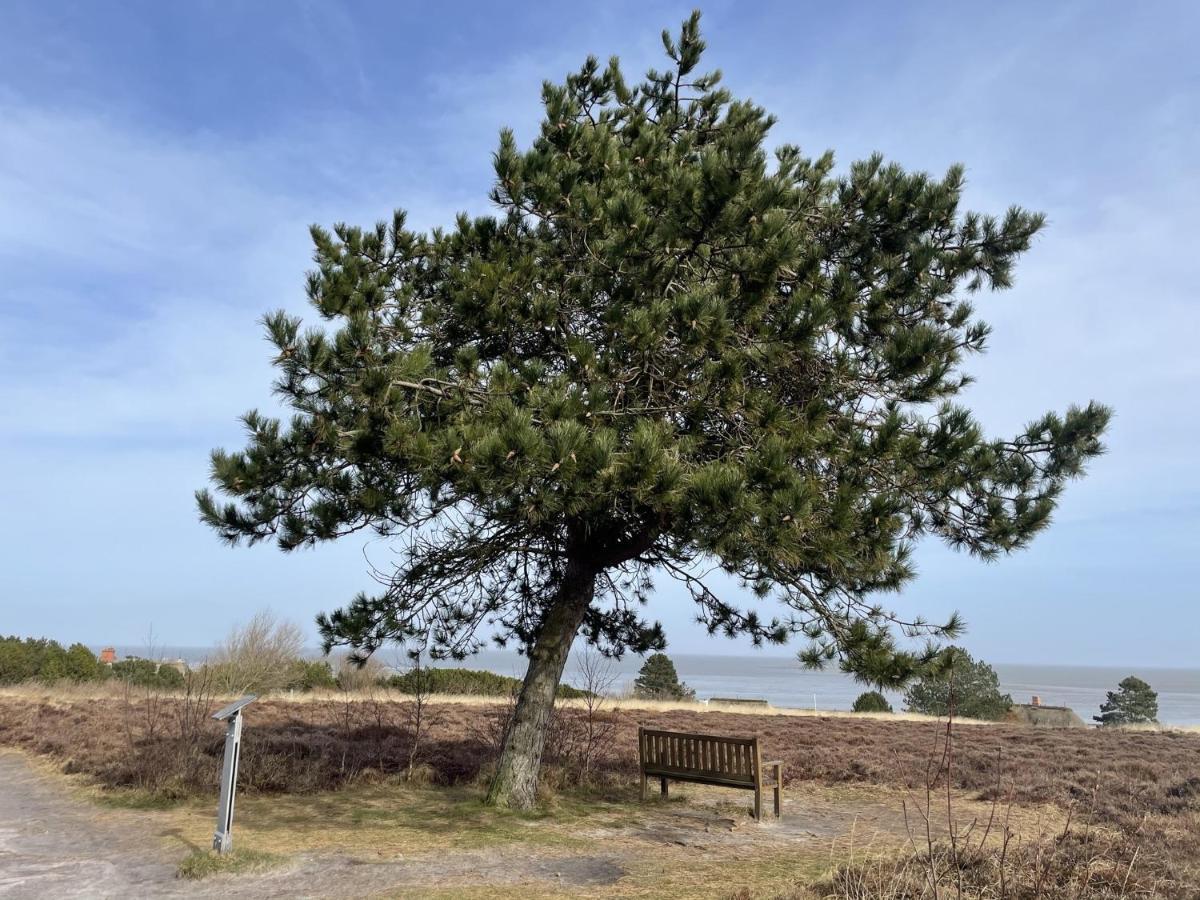 Sylter Residenz Lägenhet Westerland Exteriör bild